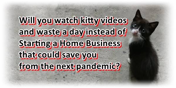 Consider starting a home business over watching kitten videos.